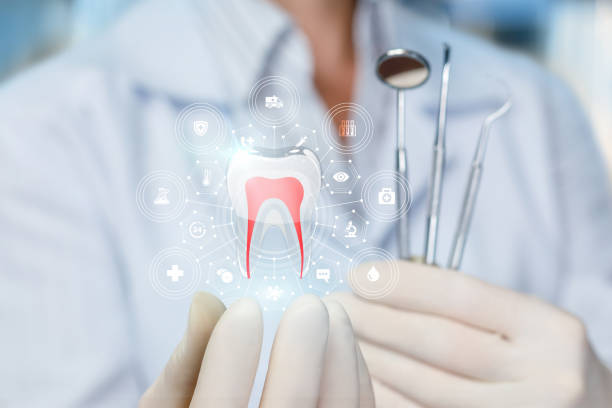 Best Emergency Dental Care  in Zephyrhills West, FL