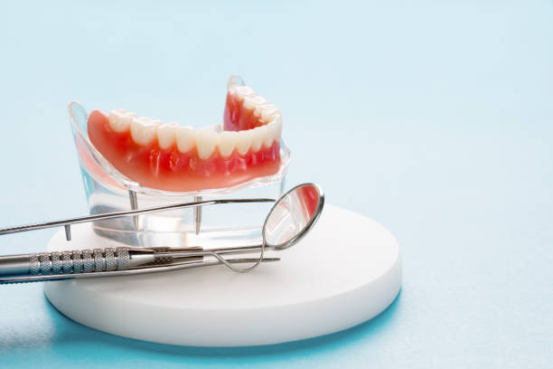 Best Root Canal Treatment  in Zephyrhills West, FL